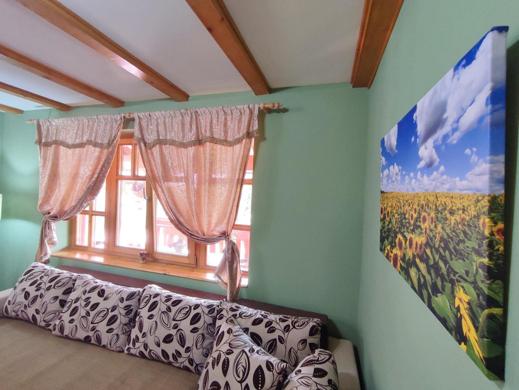 Eko Apartmani バチキ・ペトロヴァツ 部屋 写真