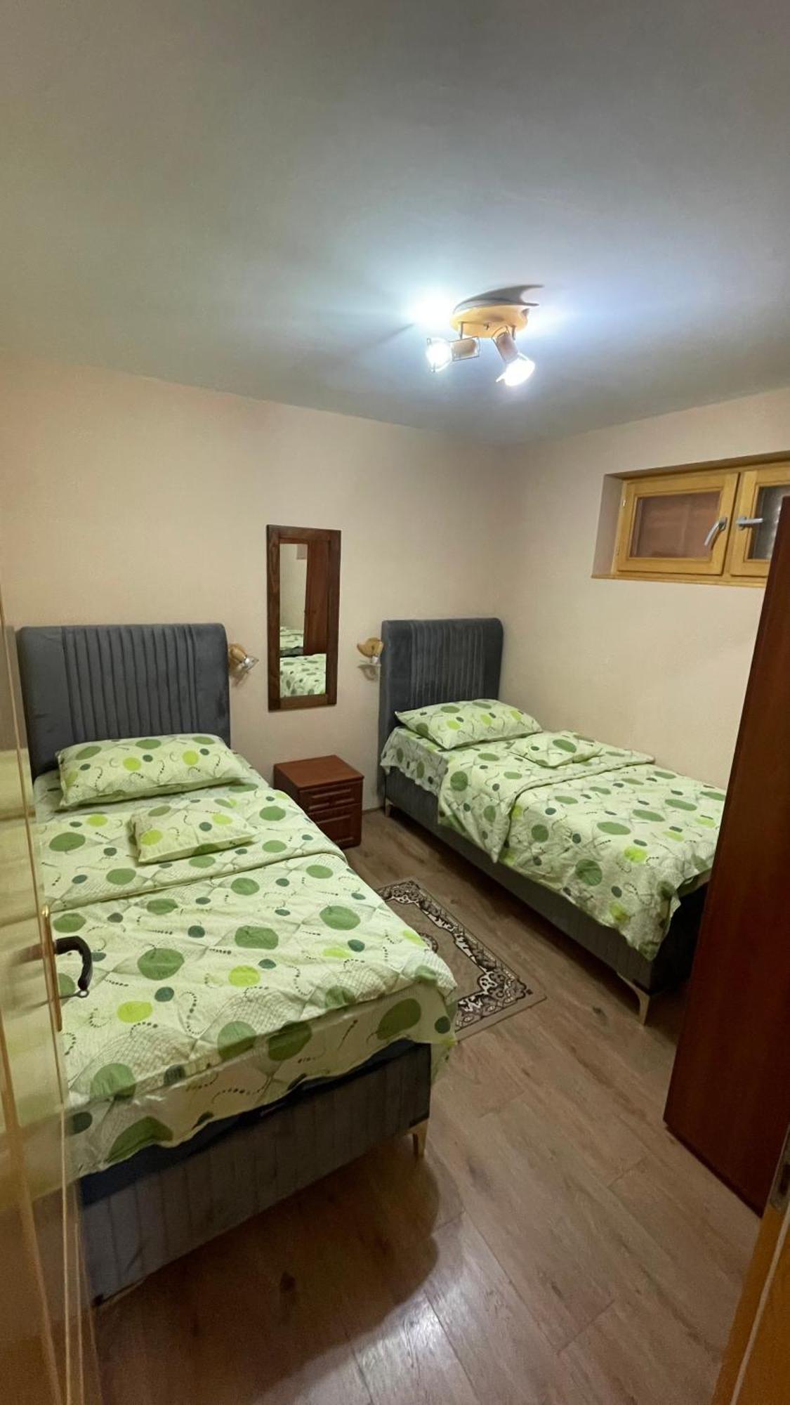 Eko Apartmani バチキ・ペトロヴァツ エクステリア 写真
