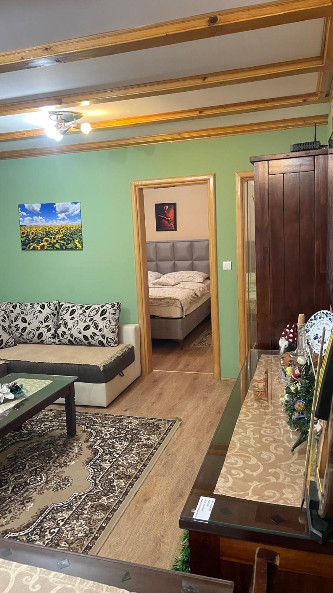 Eko Apartmani バチキ・ペトロヴァツ エクステリア 写真